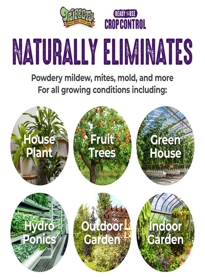 Trifecta Crop Control Ready to Use Maximum Strength Natural Pesticide, Fungicide, Miticide, Insecticide, Help Defeat Spider Mites, Powdery Mildew, Botrytis and Mold on Plants 32 OZ Size - Image 2