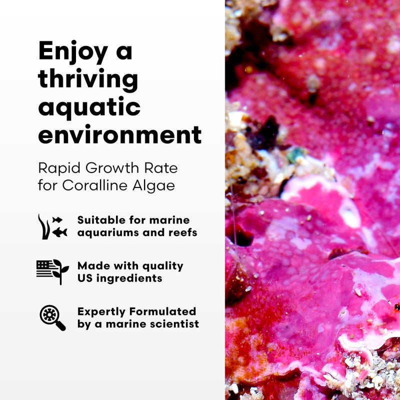 Brightwell Aquatics - Coralline Accelerator - Multi-Nutrient Supplement for Coralline Algae Growth in Marine and Reef Aquariums - Aquarium Water Treatments, 8.45 fl oz - Image 3