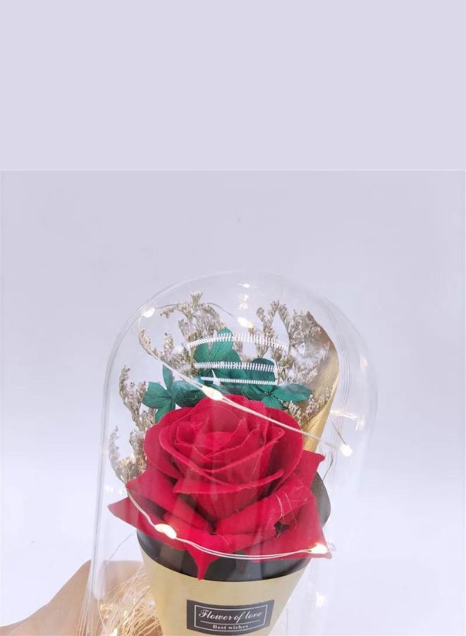 LED Light Dried Flowers In Glass Dome Artificial Dried Flower Bouquet Gift For Birthday/Wedding Gift - Image 2