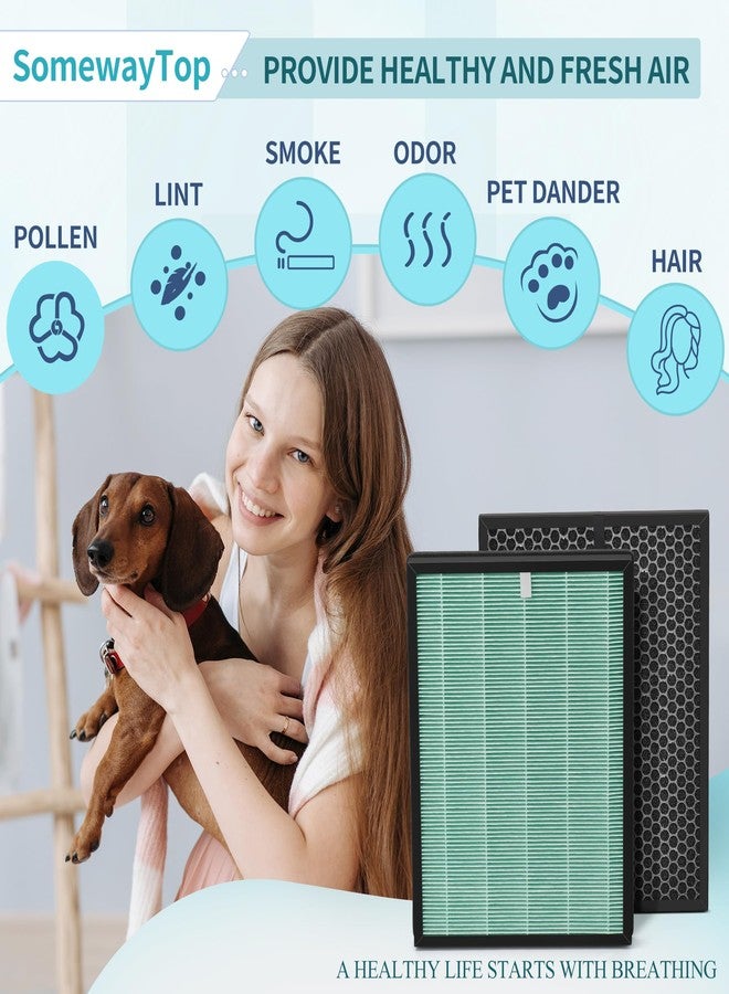 SOMEWAYTOP BioGS 2.0 Filters Replacement Kit Compatible with Filter Replacement SPA-550A and SPA-625A, Air Cleaner to Remove Odor for Home and Large Room, 1x H13 True HEPA and 1x Carbon - Image 2