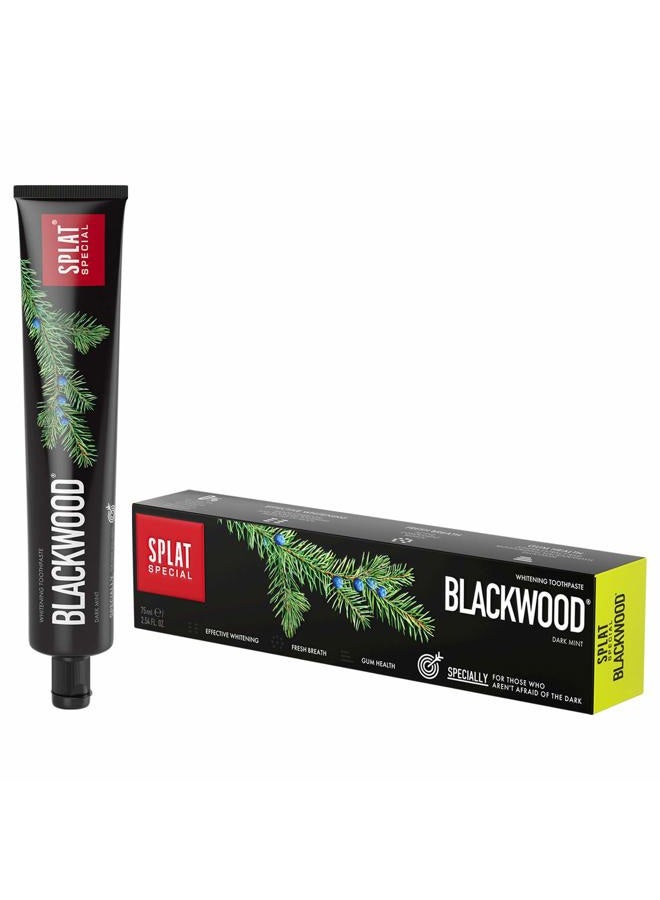 SPLAT Special Black Wood Dark Mint Whitening Toothpaste|Activated Charcoal|Natural|Fights Plaque|Visibly Whitens Teeth|Enamel Protection|Fresh Breath|Gum Health|Cavities Protection|Deep Cleaning|75ml - Image 1