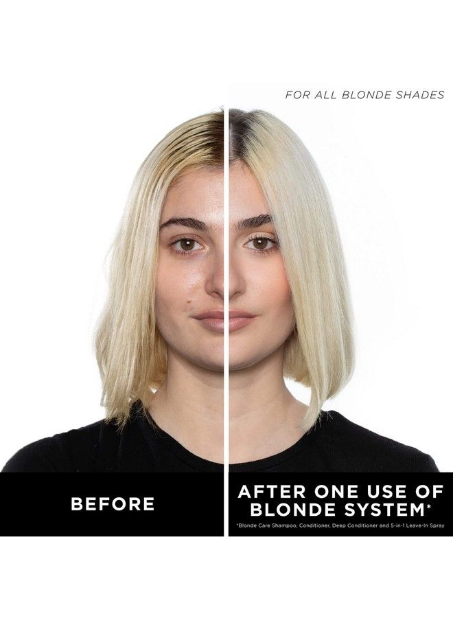 HASK مجموعة شامبو وبلسم للعناية بالشعر الأشقر نباتية آمنة على اللون خالية من الجلوتين خالية من الكبريتات خالية من البارابين خالية من القسوة على الحيوانات 1 شامبو و1 بلسم - Image 5