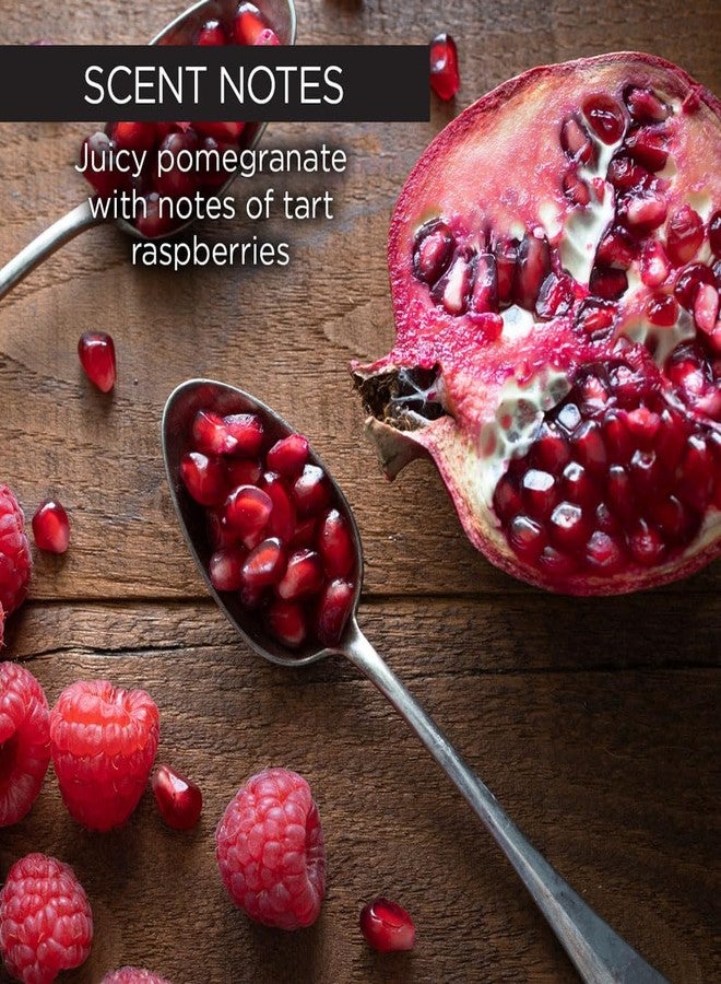 ويسك مقشر الجسم بالسكر والرمان من ويش بيوتي - مقشر للجسم للنساء - مقشر السكر البني مع التوت، والصبار، وزبدة الشيا - لطيف على جميع أنواع البشرة - خالٍ من البارابين والكبريتات - 227 غرام - Image 5