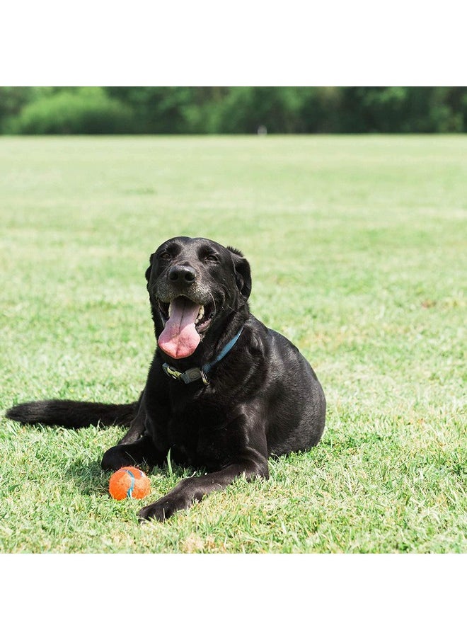 Chuckit! - Chuckit Dog Tennis Ball Dog Toy, Large (3 Inch Diameter) For Dogs 60100Lbs, Pack Of 1 - Image 1