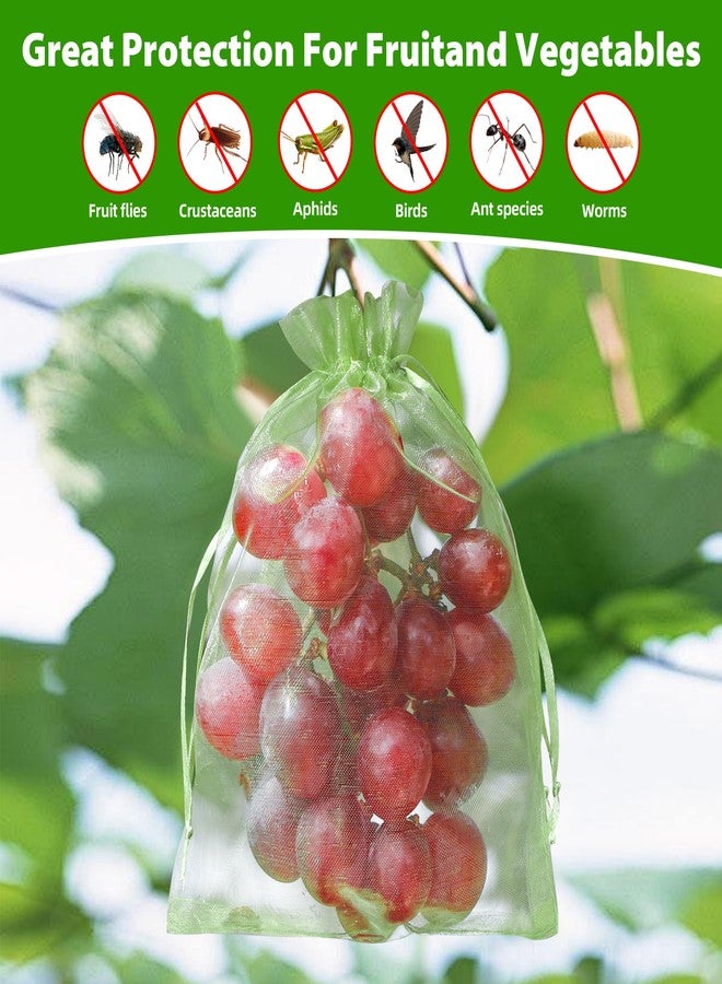 EWPJDK 70pcs Fruit Protection Bag 6x8 inch Green Netting Cover Bags Drawstring Mesh Bags Pest Barrier for Blueberry Small Fruit (70, 6x8 inch) - Image 5