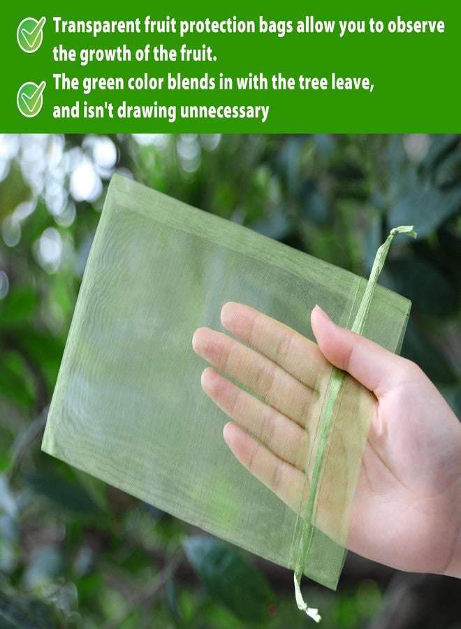 EWPJDK 70pcs Fruit Protection Bag 6x8 inch Green Netting Cover Bags Drawstring Mesh Bags Pest Barrier for Blueberry Small Fruit (70, 6x8 inch) - Image 4