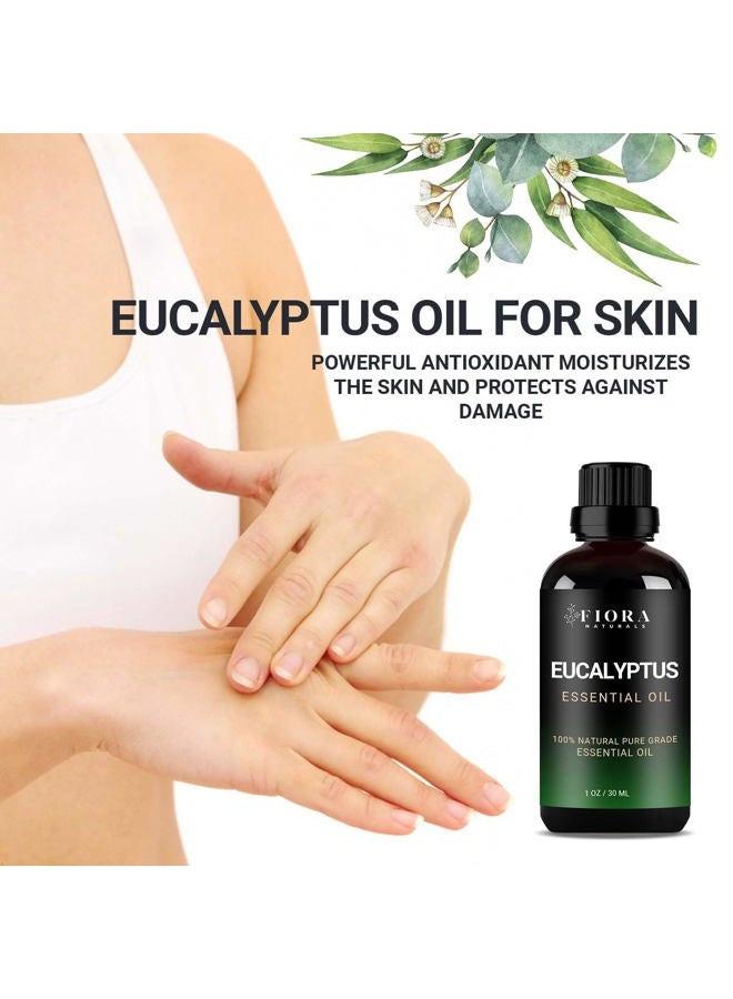 Fiora Naturals زيت الأوكالبتوس العطري - زيت أوكالبتوس نقي 100% للناشر، المرطب، الجيوب الأنفية، البرد، والعلاج بالروائح - زيت أوكالبتوس طبيعي للبشرة، الشعر، فروة الرأس والتدليك - Image 3