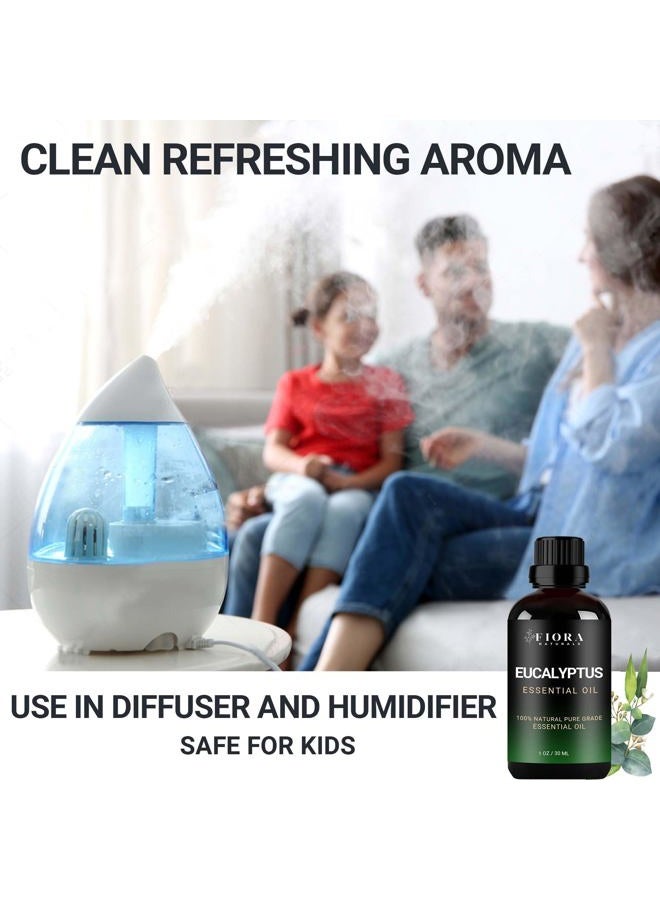 Fiora Naturals زيت الأوكالبتوس العطري - زيت أوكالبتوس نقي 100% للناشر، المرطب، الجيوب الأنفية، البرد، والعلاج بالروائح - زيت أوكالبتوس طبيعي للبشرة، الشعر، فروة الرأس والتدليك - Image 2