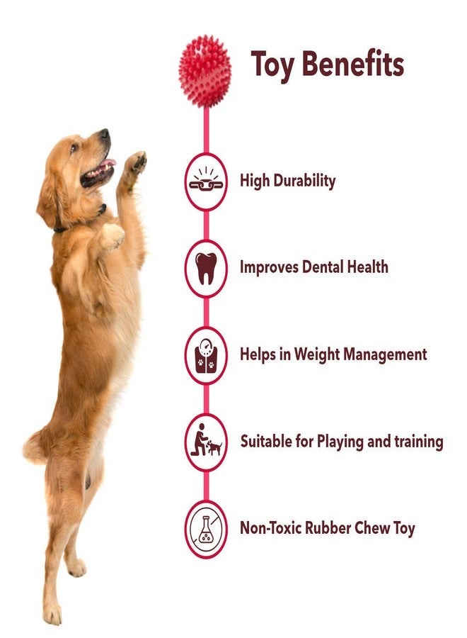 Pups&Pets Non-Toxic Rubber Stud Spike Hard Ball Chew Toy, Puppy/Dog Teething Toy - 3 inches - Image 3