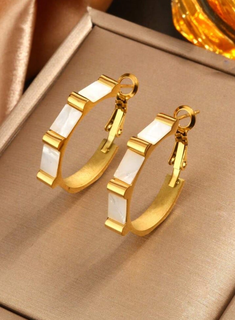 Dangle Charms Elegant & Trendy Stainless Steel Earrings For Women - Image 1