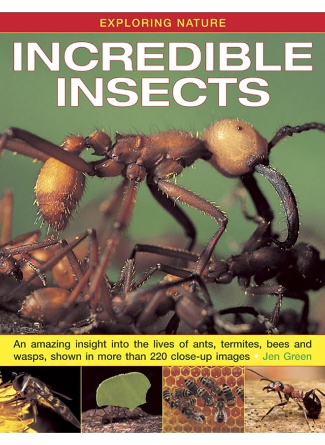 null - Exploring Nature: Incredible Insects: An Amazing Insight into the Lives of Ants, Termites, Bees and Wasps, Shown in More Than 220 Close-up Images - Image 1