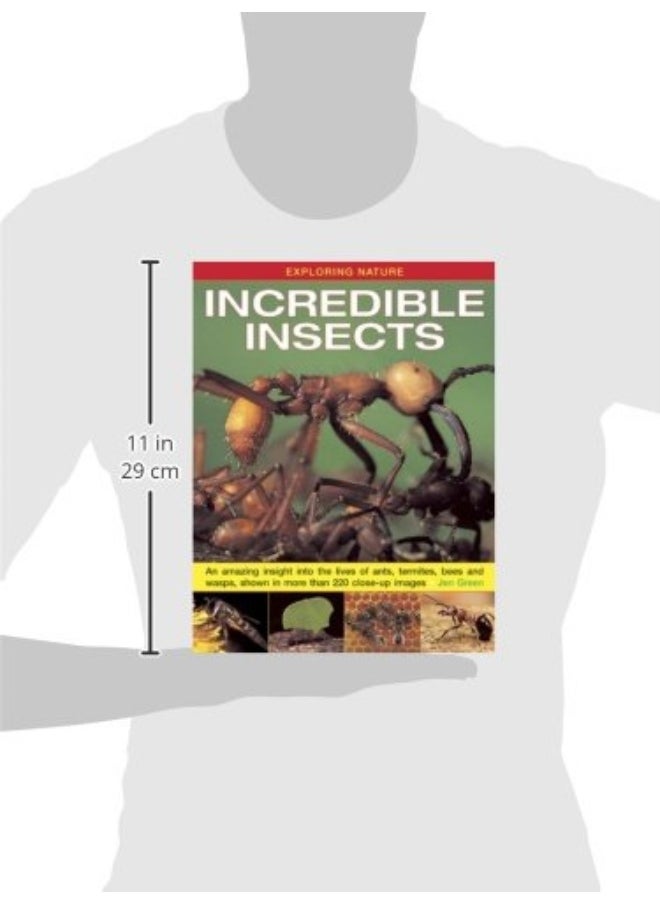 null - Exploring Nature: Incredible Insects: An Amazing Insight into the Lives of Ants, Termites, Bees and Wasps, Shown in More Than 220 Close-up Images - Image 1