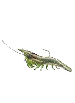 Grass Shrimp