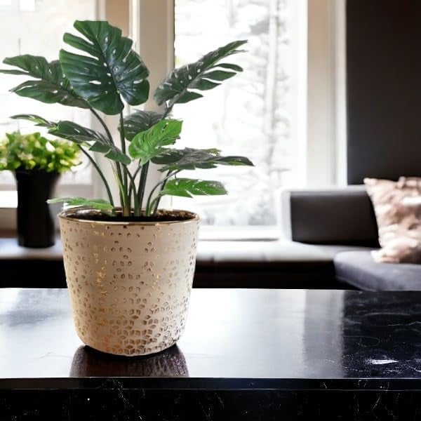 Fox & Fern Premium Ceramic Planter for Vibrant Garden | Enhance The Ambiance of Your Home, Office or Garden (GA133B-024-GS) - Image 2