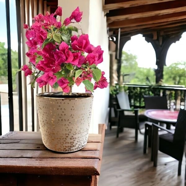 Fox & Fern Premium Ceramic Planter for Vibrant Garden | Enhance The Ambiance of Your Home, Office or Garden (GA133B-024-GS) - Image 3