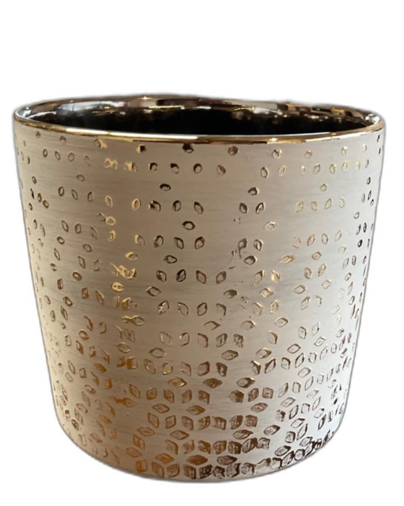 Fox & Fern Premium Ceramic Planter for Vibrant Garden | Enhance The Ambiance of Your Home, Office or Garden (GA133B-024-GS) - Image 1