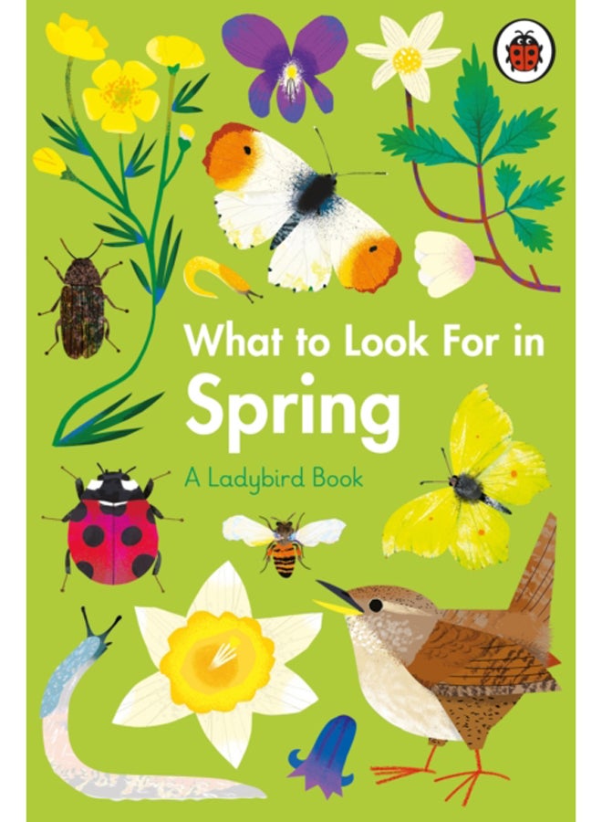 What to Look For in Spring 