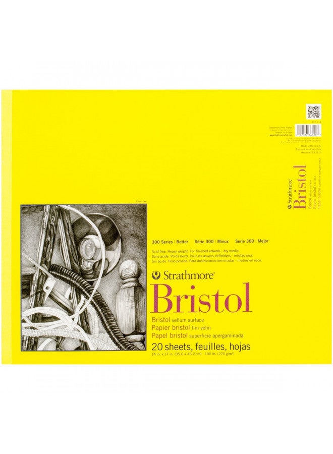Strathmore 300 Series Bristol Paper Pad, Vellum, Tape Bound, 14x17 inches, 20 Sheets (100lb/270g) - Artist Paper for Adults and Students - Charcoal, Pen and Ink, Marker, and Pastel - Image 1