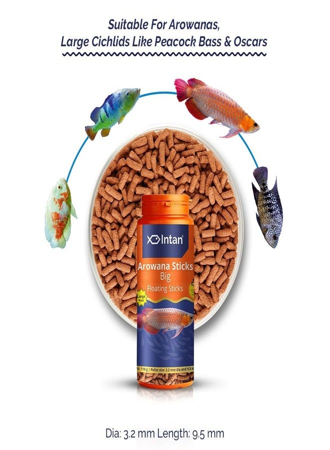 Intan Fisher Men Intan Aquatic Arowana Sticks Fish Food 110g | Big Floating Stick 3.2mm x 9.5mm Pellet | Arowana Floating Feed for All Life Stages | Ornamental Aquarium Fish Food | Large Stick Pack of 1 - Image 2