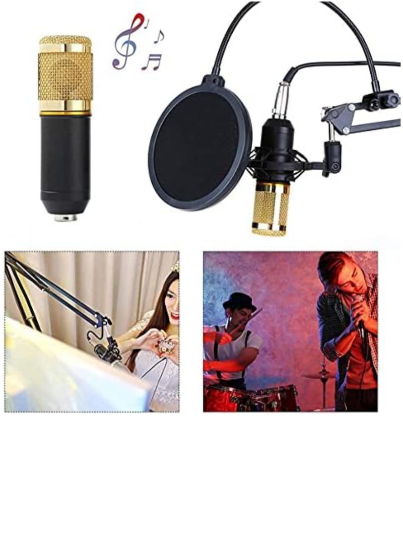Professional Condenser Microphone With Patented Audio Reference Companding For Crystal - Clear Sound And Studio Recording Broadcasting Set Black/Gold