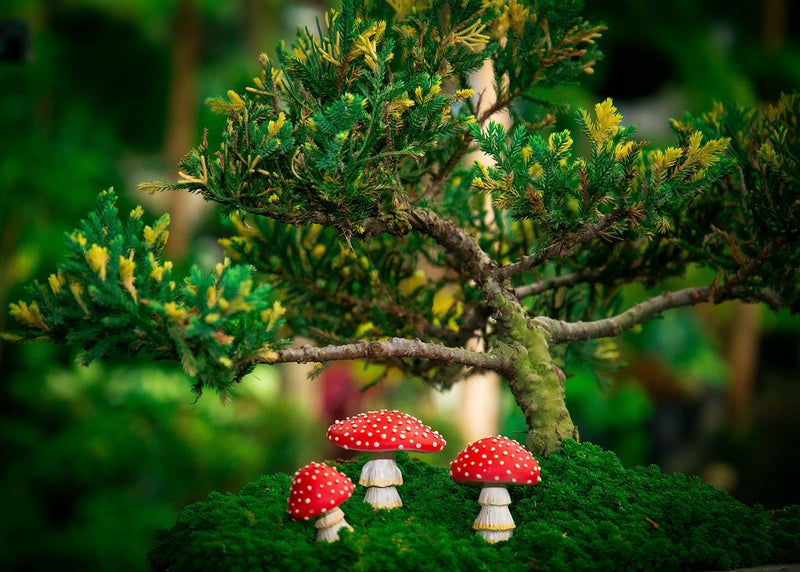 Tree Poetry Fairy Garden Miniatures, Mini Mushroom Figurines, Mushrooms Decor, Outdoor Mushroom, Fake Mushrooms, Mushroom Statue, Fairy Garden, Mushroom Garden Decor, Mushroom Outdoor - Image 5