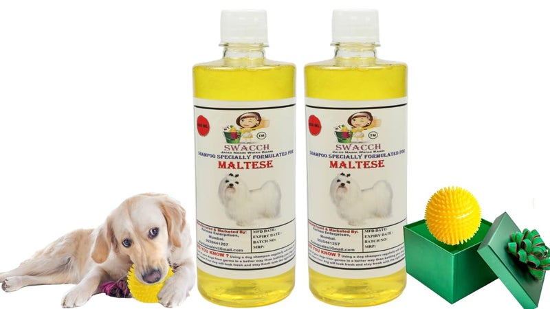 swacch Shampoo | Puppy Safe Shampoo | PH Balanced | Ditch to Itch for Maltese Dog Shampoo 500ml Pack of 2 (Lemon) + Spike Ball Chew Toy Combo Pack - Image 1