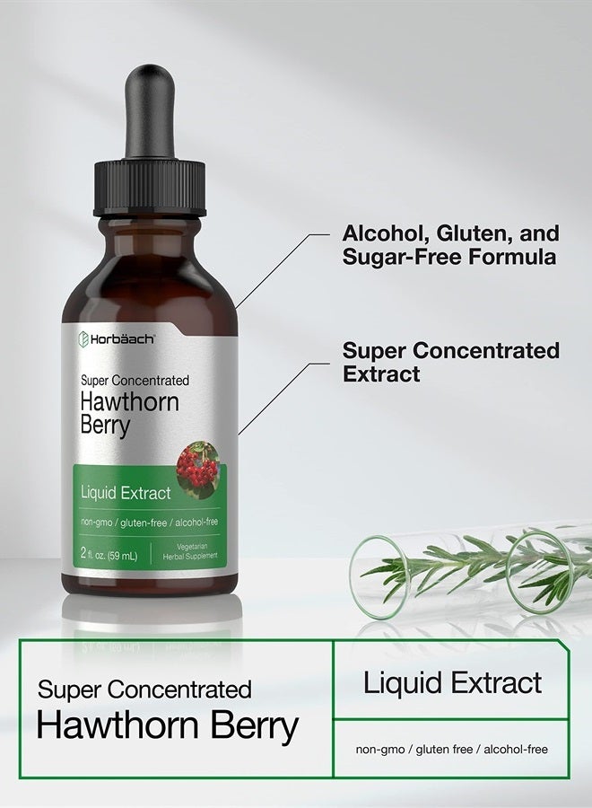 Horbäach Hawthorn Berry Extract | 2 fl oz | Alcohol Free Hawthorne Liquid Tincture | Vegetarian, Non-GMO, Gluten Free | by Horbaach - Image 3