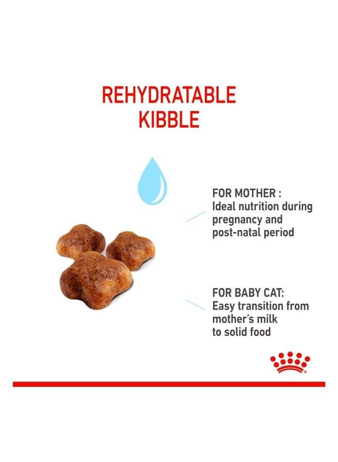 ROYAL CANIN - Feline Health Nutrition Mother And Babycat - 10 KG - Image 1