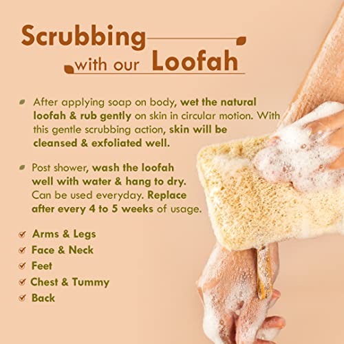 Nat Habit Natural Sun Dried Bath Loofah, Body Sponge & Scrubber for Men & Women | Organic Luffa for Bath Shower Skin Exfoliation (Pack of 4) - Image 4
