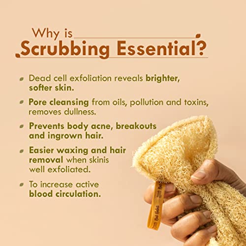 Nat Habit Natural Sun Dried Bath Loofah, Body Sponge & Scrubber for Men & Women | Organic Luffa for Bath Shower Skin Exfoliation (Pack of 4) - Image 2