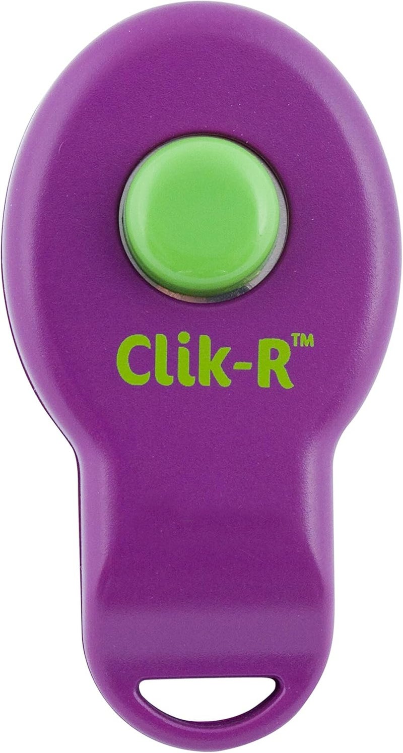 PetSafe Clik-R Dog Training Clicker - Positive Behavior Reinforcer for Pets - All Ages, Puppy and Adult Dogs - Use to Reward and Train - Training Guide Included - Purple - Image 4