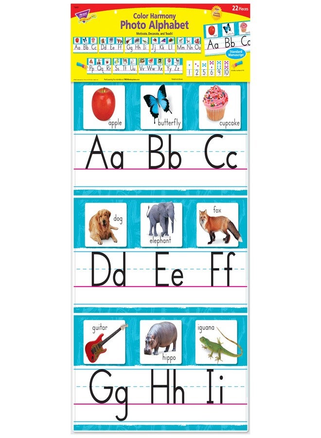 Trend Enterprises Trend Color Harmony Photo Alphabet Bulletin Board Set, Classroom Decor - Image 3