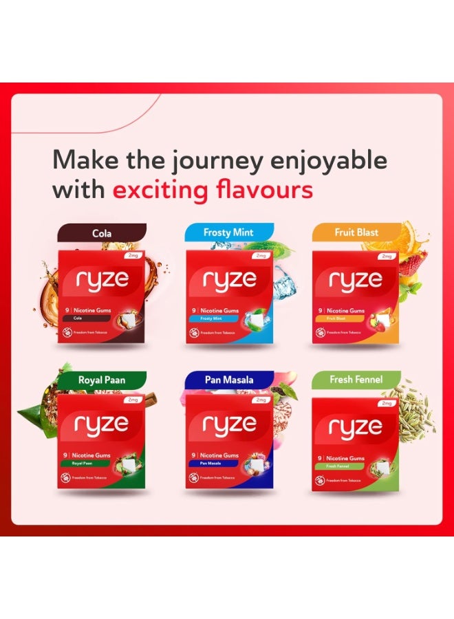 رايز RYZE Nicotine Gum 2mg | Pan Masala | Soft Chew, Easy on Throat, Sugar Free | Aids in Quitting Smoking & Chewing | Smoking Cessation | 270 gums (9 Gums Each Pack) | Combo Pack of 30 - Image 1