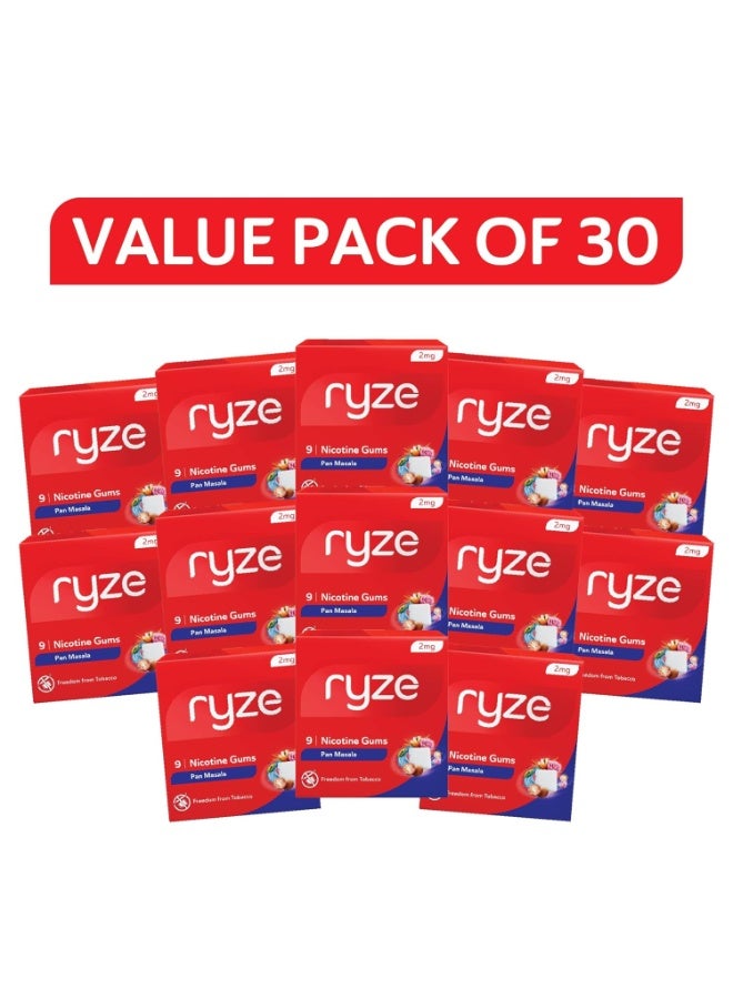 رايز RYZE Nicotine Gum 2mg | Pan Masala | Soft Chew, Easy on Throat, Sugar Free | Aids in Quitting Smoking & Chewing | Smoking Cessation | 270 gums (9 Gums Each Pack) | Combo Pack of 30 - Image 3