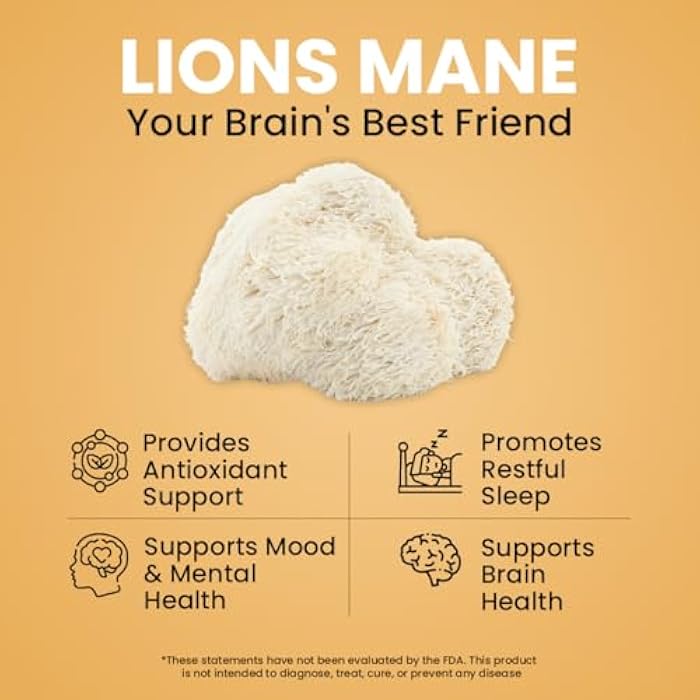 NooMost Lions Mane Mushroom Supplement Capsules 1080mg With Ginkgo Biloba - Energy, Focus, Clarity & Memory Support - Real Superfood for Brain Health for Men & Women - Made in USA - 60 Veg Caps - Image 4