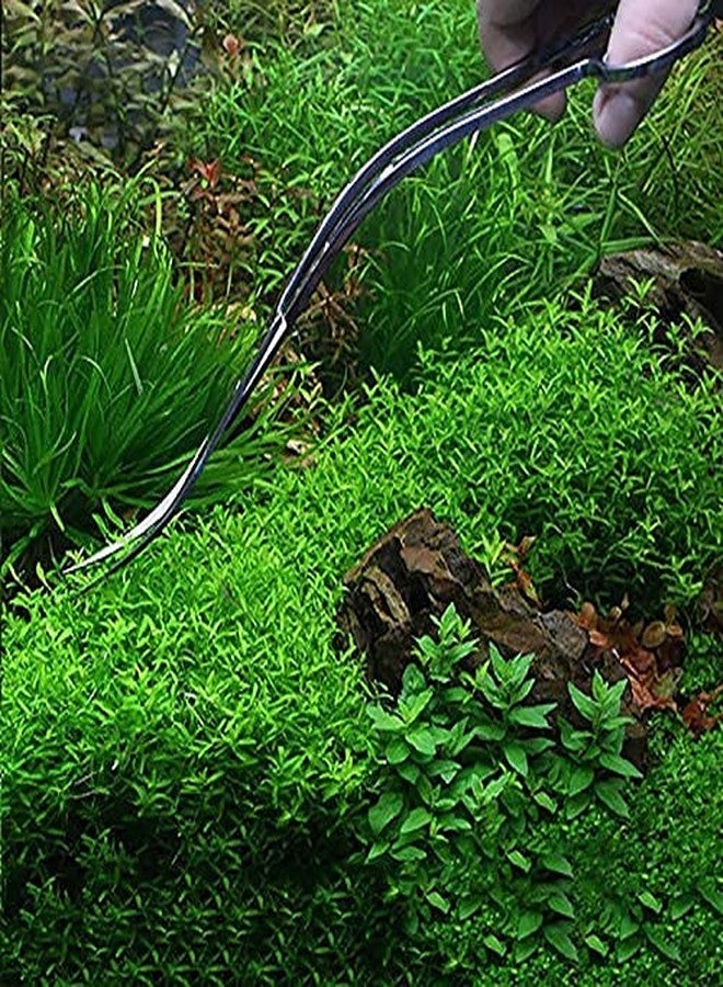 Western Era Aquarium Scaping Tongs Scissor Long Stainless Steel Wave Curve Scissor Tool for Fish Tank, Aquatic Plant Cleaning - Image 4
