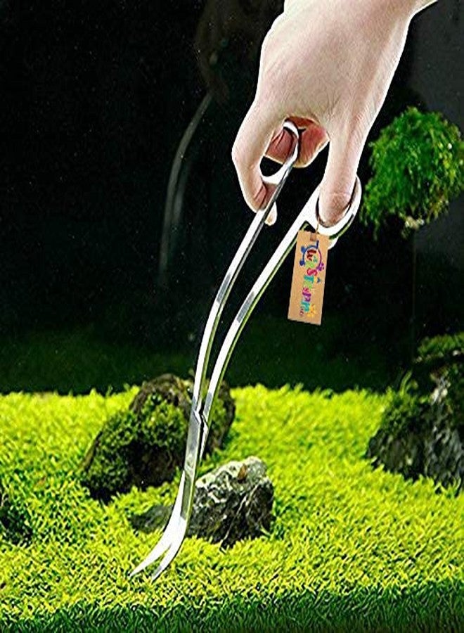 Western Era Aquarium Scaping Tongs Scissor Long Stainless Steel Wave Curve Scissor Tool for Fish Tank, Aquatic Plant Cleaning - Image 2