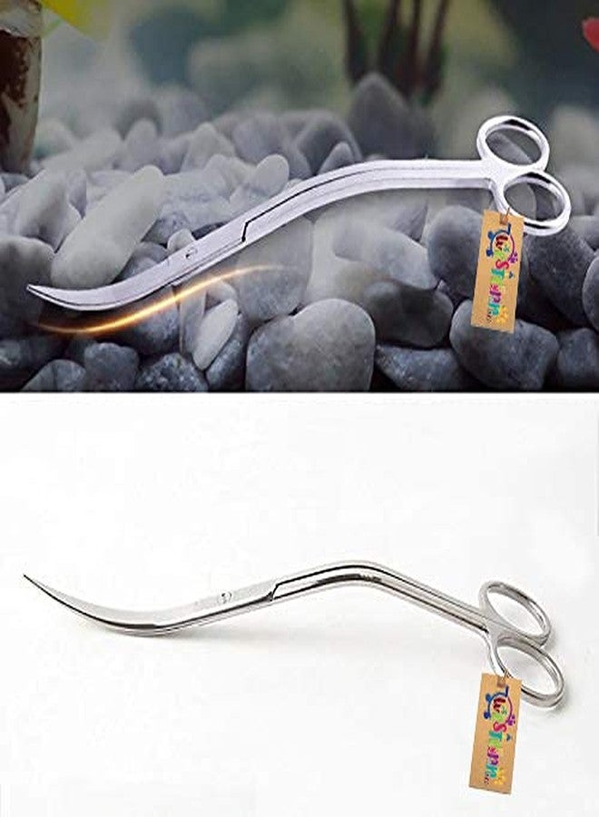 Western Era Aquarium Scaping Tongs Scissor Long Stainless Steel Wave Curve Scissor Tool for Fish Tank, Aquatic Plant Cleaning - Image 5