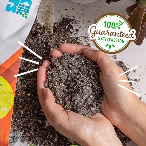 Back to the Roots عودة إلى الجذور 100% مزيج عضوي من العصاريات والصبار (قيمة 12 لتر) | صنع في الولايات المتحدة الأمريكية - Image 5