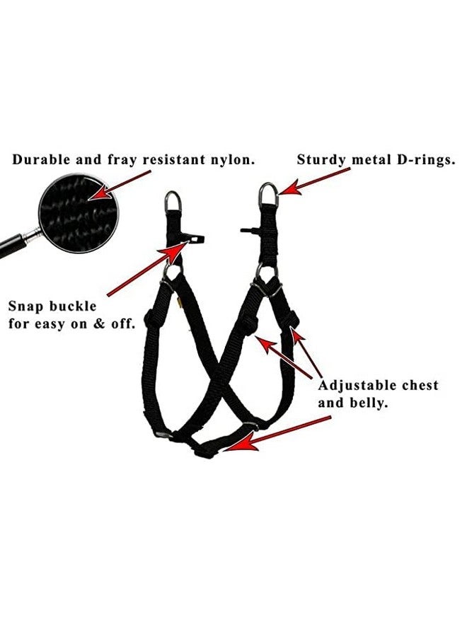 حزام جسم ناعم للكلاب من السلالات الصغيرة قابل للتعديل مطبوع عليه عظمة ومخالب، طقم حزام من النايلون الملون للجراء مع مقود بخطاف معدني (برتقالي) - Image 5