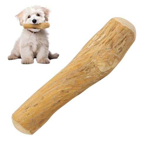 SPOT Coffee Wood Dog Chew Toy – 100% Natural & Sustainably Sourced Non-Splintering Wood from Coffee Plants, Long Lasting, Durable Toy for Aggressive Chewers, for Large Dogs and Puppies Up to 99lbs - Image 1