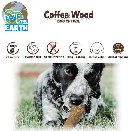 SPOT Coffee Wood Dog Chew Toy – 100% Natural & Sustainably Sourced Non-Splintering Wood from Coffee Plants, Long Lasting, Durable Toy for Aggressive Chewers, for Large Dogs and Puppies Up to 99lbs - Image 2