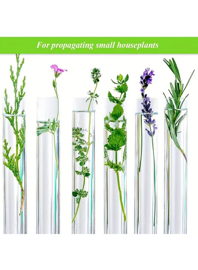 Plastic Test Tubes 16x150mm 20pcs for Storage Science Experiments Jewelry Seeds - Image 4