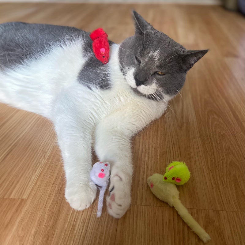 SPOT Colored Plush Mice Cat Toy - Rattle and Catnip Toy for Indoor Cats and Kittens - Bright Colored Classic Toy for Batting and Chasing Around - Fun Entertainment for Hours - 4.5inch Assorted 4-Pack - Image 2