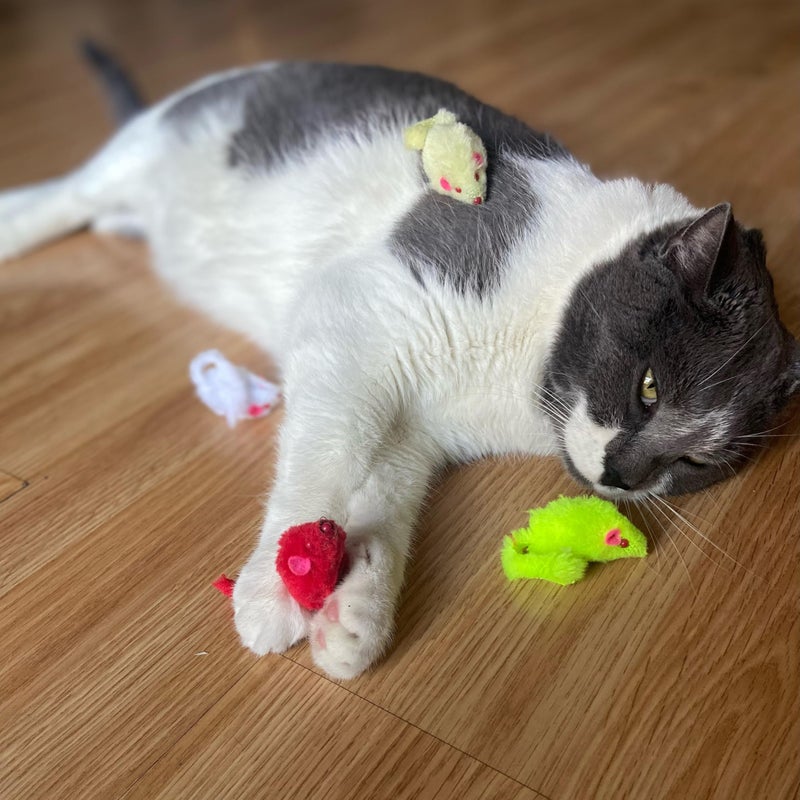 SPOT Colored Plush Mice Cat Toy - Rattle and Catnip Toy for Indoor Cats and Kittens - Bright Colored Classic Toy for Batting and Chasing Around - Fun Entertainment for Hours - 4.5inch Assorted 4-Pack - Image 3