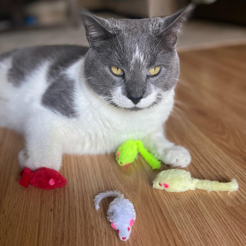 SPOT Colored Plush Mice Cat Toy - Rattle and Catnip Toy for Indoor Cats and Kittens - Bright Colored Classic Toy for Batting and Chasing Around - Fun Entertainment for Hours - 4.5inch Assorted 4-Pack - Image 5