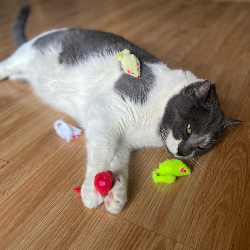 SPOT Colored Plush Mice Cat Toy - Rattle and Catnip Toy for Indoor Cats and Kittens - Bright Colored Classic Toy for Batting and Chasing Around - Fun Entertainment for Hours - 4.5inch Assorted 4-Pack - Image 4