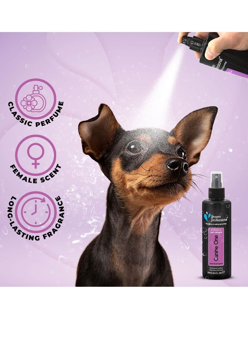 غروم بروفيشينال عطر جروم بروفيشنال كانين وان كولونيا للحيوانات الأليفة 200 مل متعدد الألوان - Image 2