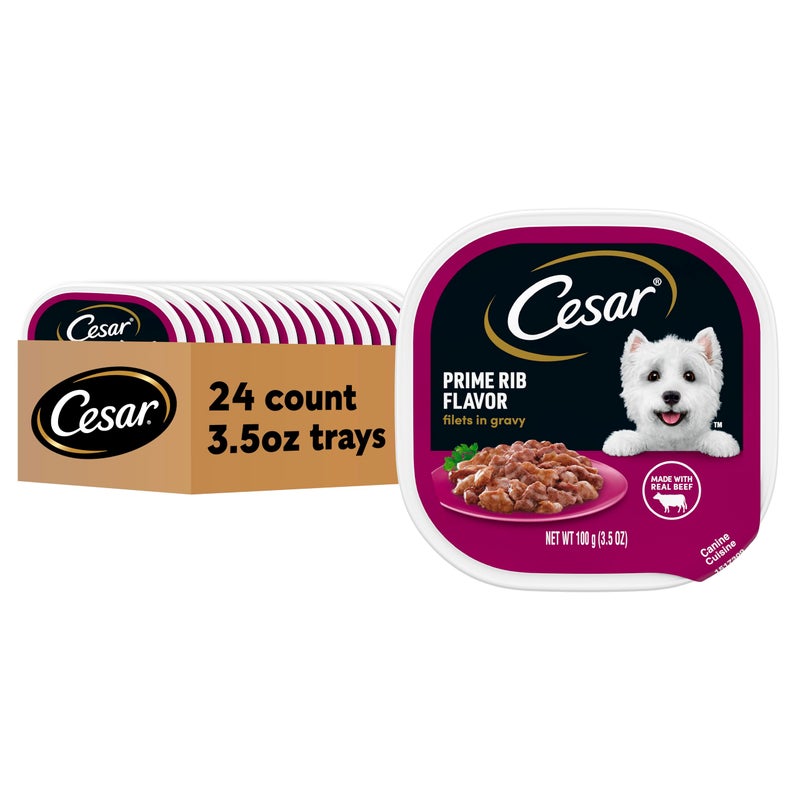 Cesar Filets in Gravy Adult Wet Dog Food, Prime Rib Flavor, 3.5 oz. Trays, 24 Count (Pack of 1) - Image 1