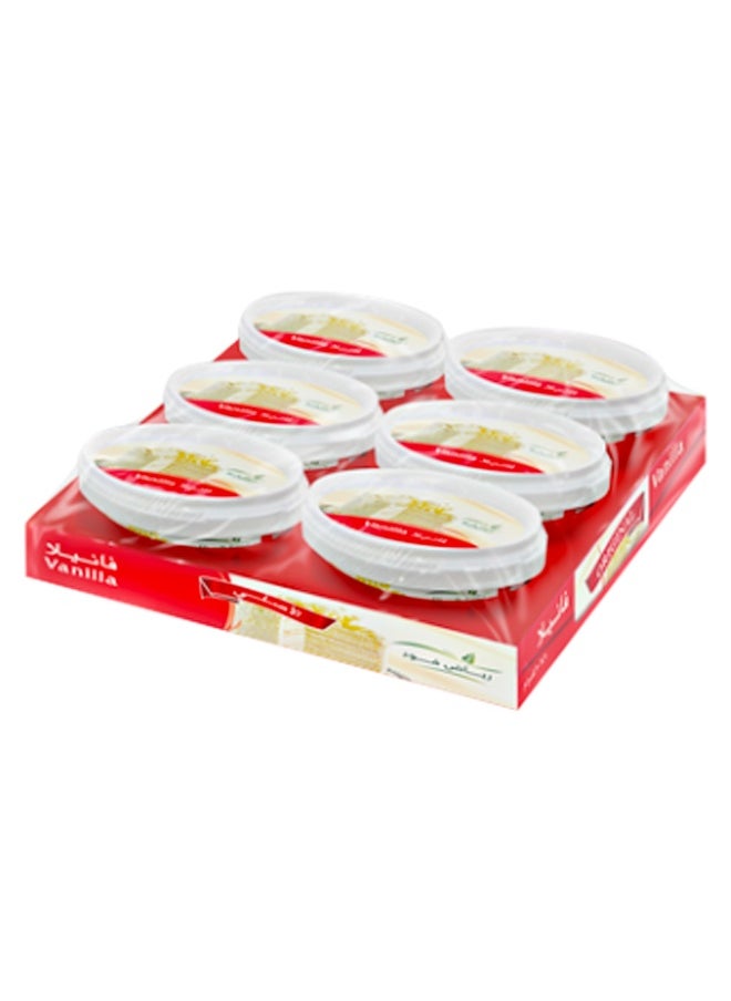 Riyadh Food Riyadh Food Vanilla Powder, 20g × 6 